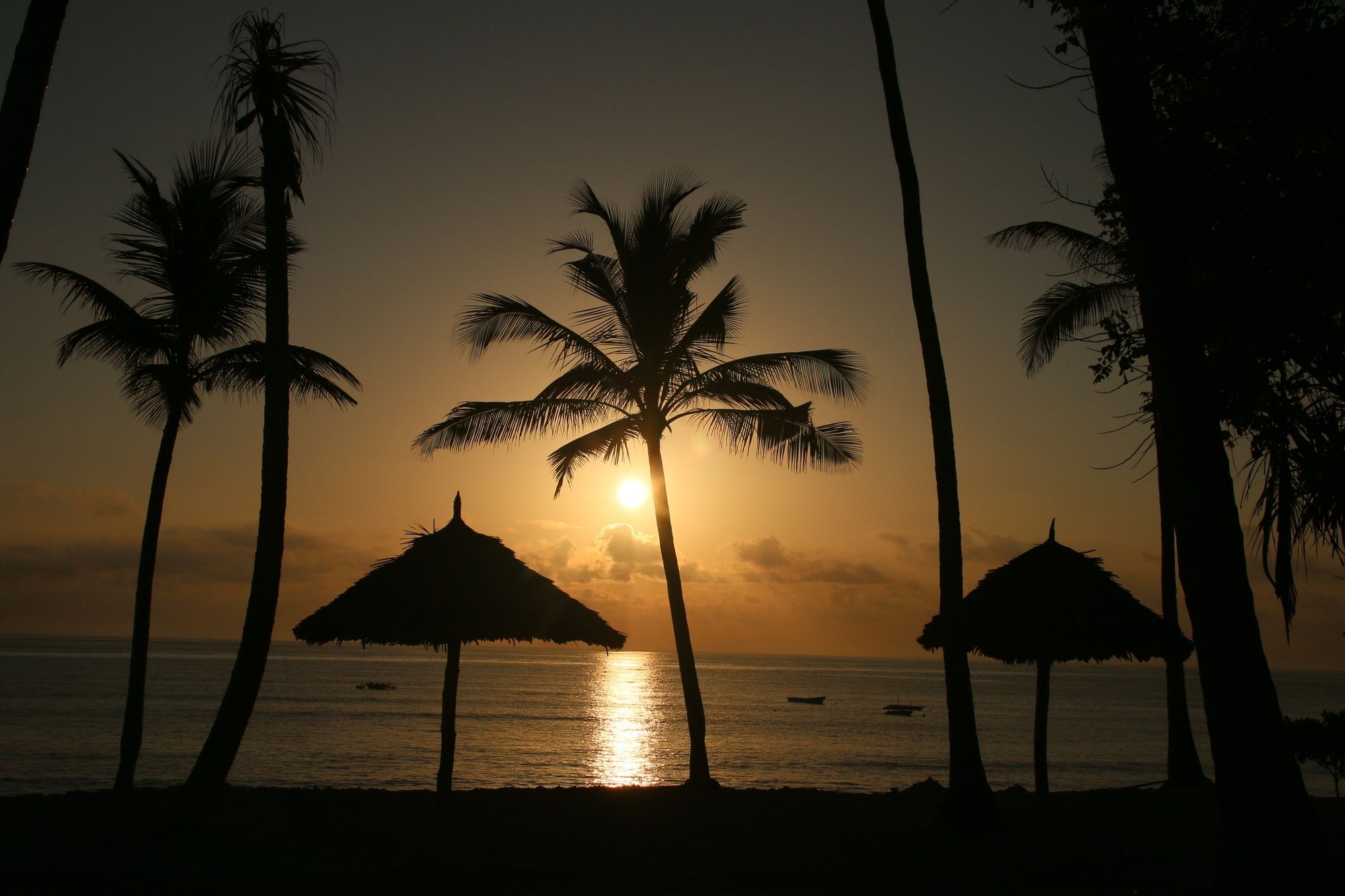 Blue Moon Resort Jambiani  Exterior foto
