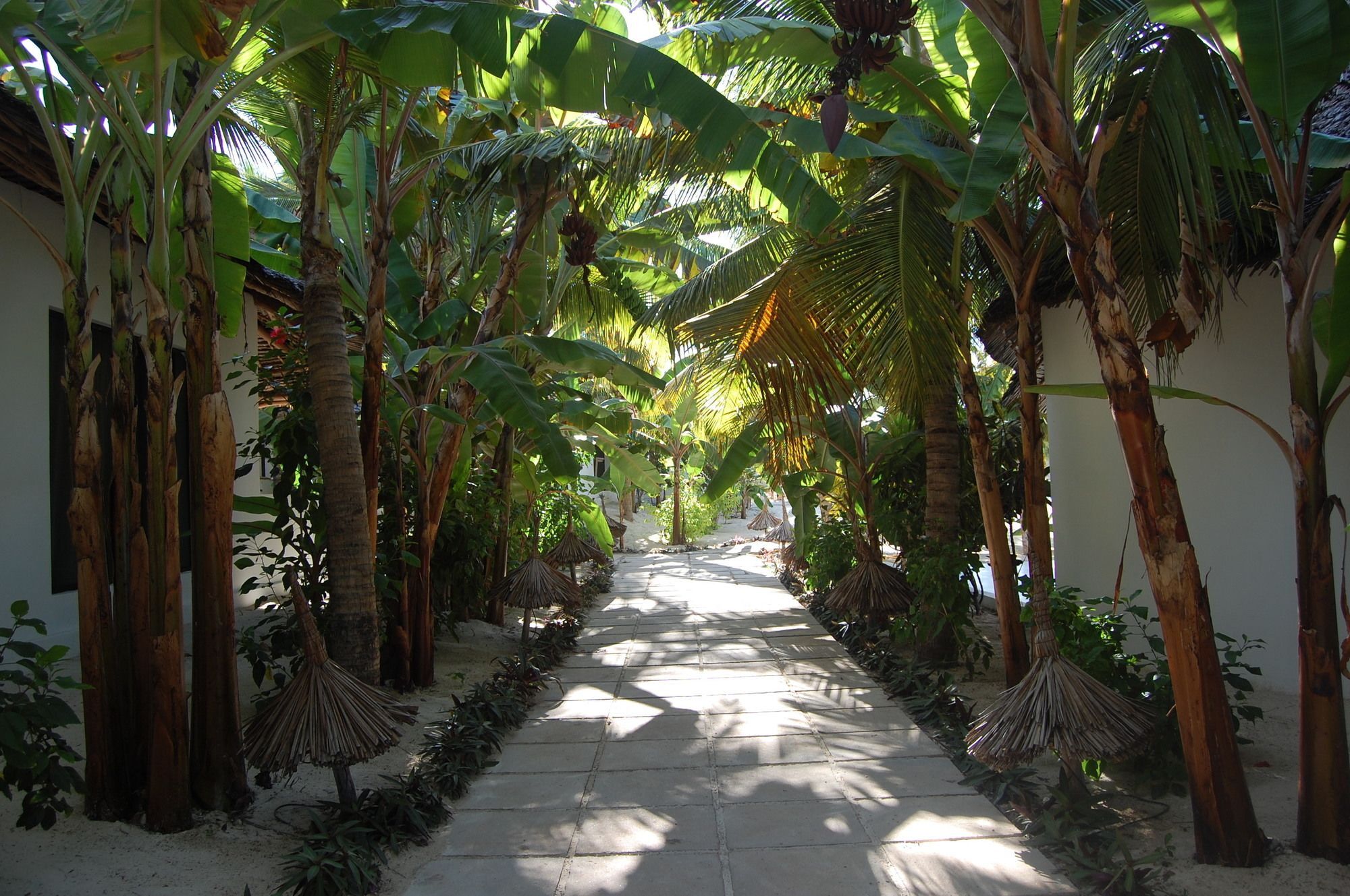 Blue Moon Resort Jambiani  Exterior foto