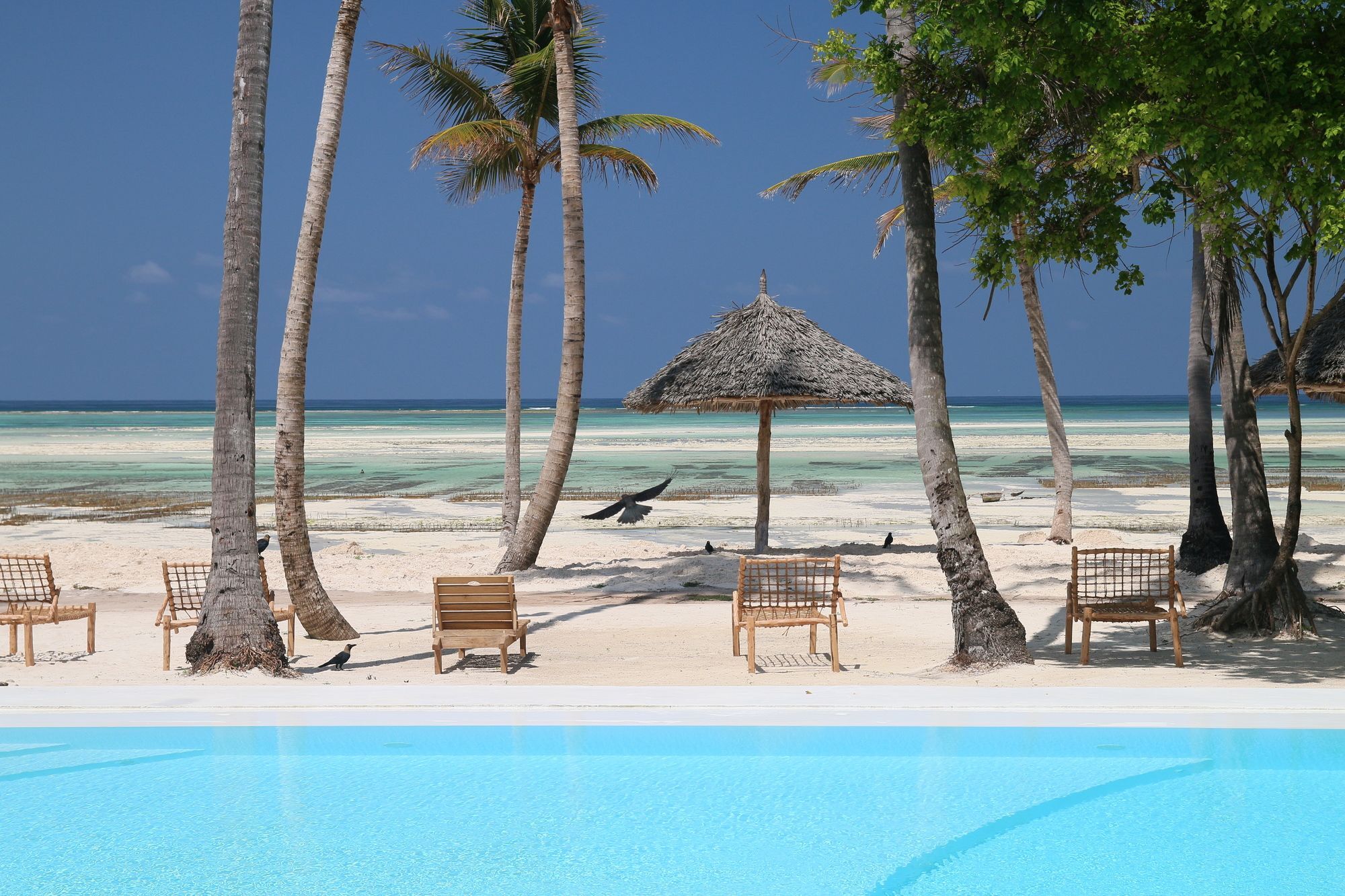 Blue Moon Resort Jambiani  Exterior foto