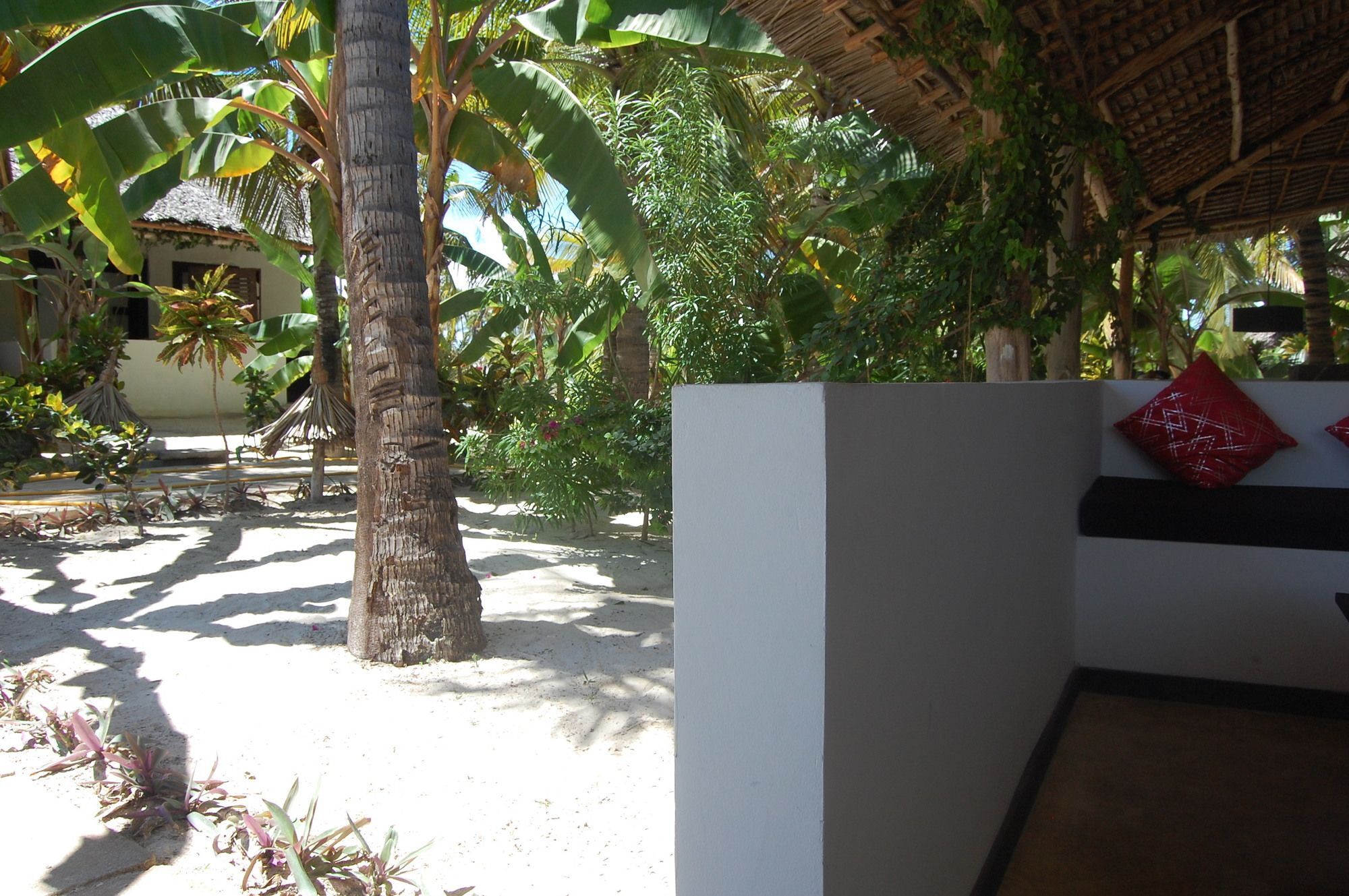 Blue Moon Resort Jambiani  Exterior foto
