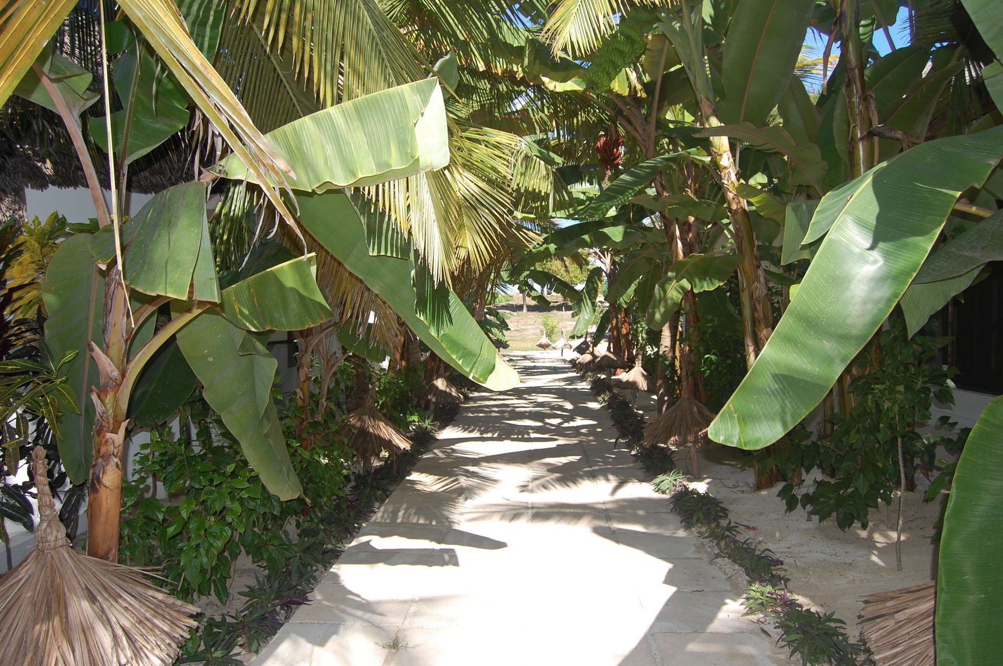 Blue Moon Resort Jambiani  Exterior foto